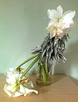bloemen